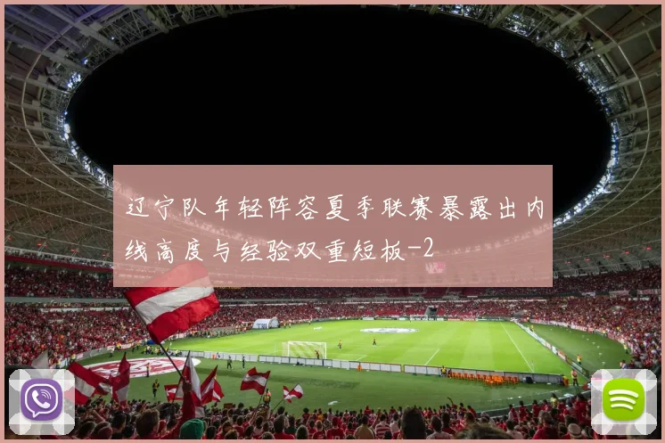 辽宁队年轻阵容夏季联赛暴露出内线高度与经验双重短板