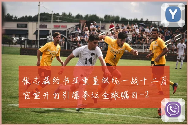 张志磊约书亚重量级统一战十二月官宣开打引爆拳坛全球瞩目