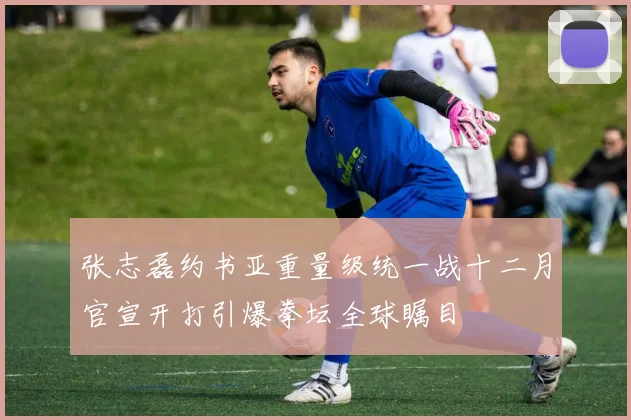 张志磊约书亚重量级统一战十二月官宣开打引爆拳坛全球瞩目