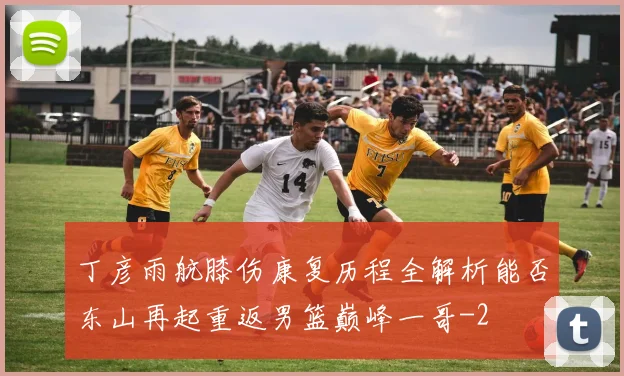 丁彦雨航膝伤康复历程全解析能否东山再起重返男篮巅峰一哥